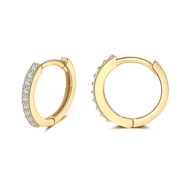 Gold Earrings for Women, S925 Sterling Silver Tiny Hoop Earrings