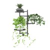 KAAPSAM Rotating Wall Plant Shelves Plant Shelf for Window 3-Tier