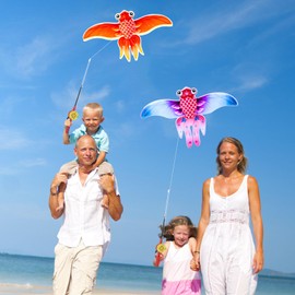 Vodolo Kites for Kids Ages 3-5,3PCS Cute Fish Colorful Kid Kites Easy to Fly for Beach Park Outdoor Play Game Activities,Pocket Mini Kite for Kids Ages 4-8 with Handle,Summer Outside Toys for Ages 5-7
