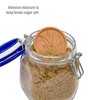 Goodful Brown Sugar Saver and Softener Disc with Elegant Leaf