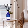 Xcleen Reed Diffuser Set for Home| 3.7 Oz(110ml) Hawaiian Holiday