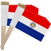 TSMD Paraguay Stick Flag Paraguayan Small Mini Hand Held Flags,5x8