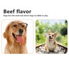 Pet Chewing Toy Beef Flavor Bite Resistant Nylon Dog Chewing