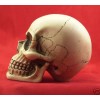 BawdyPartz m10-1.5 Large Skull Gear Shift Knob Hot Rat Street