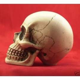 BawdyPartz m10-1.5 Large Skull Gear Shift Knob Hot Rat Street Rod American Made 11