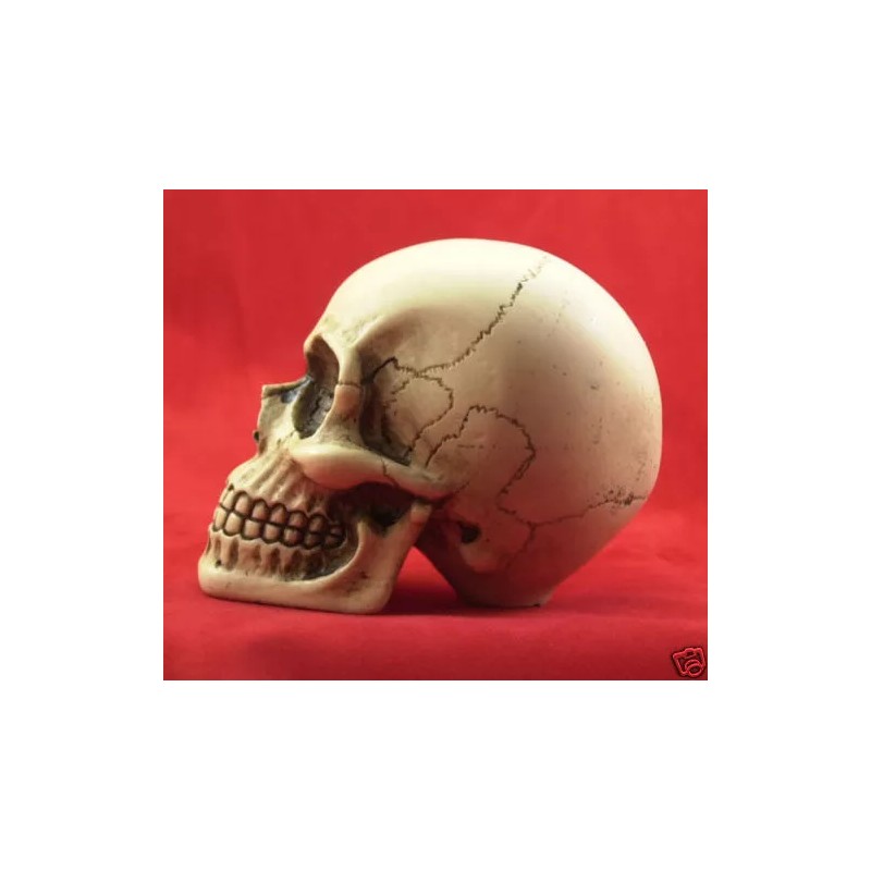 BawdyPartz m10-1.5 Large Skull Gear Shift Knob Hot Rat Street