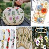 YoothBro 141PCS Real Nature Dried Pressed Flowers for Resin Mold,