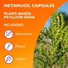 Suplemento Fibra Metamucil Psyllium Husk 300 Cápsulas