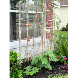 LAMINET Heavy Duty Clear Plastic- 5 Ft. of Glass Clear Plastic Vinyl Protective sheeting for Home, Office, Furniture, Boat, Porch, patios, Greenhouse, DIY and Crafts. 36" X 5', 9 Gauge Outdoors!