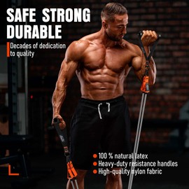 Resistance Bands with Handles, 175lb Exercise Bands for Working Out, Fitness Bands, Workout Bands with Door Anchor and Ankle Straps, Physical Therapy, Yoga, Strength Training Home Gym Equipment