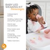 BooginHead Baby Led Weaning Supplies - Stage 1 and Stage