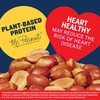 PLANTERS Redskin Spanish Peanuts, Roasted Salted Peanuts, Plant Based Protein
