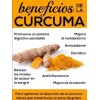 Curcuma Organica Concentrada Shelo Nabel Original 3pz S621-3