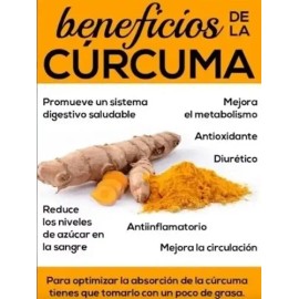 Curcuma Organica Concentrada Shelo Nabel Original 3pz S621-3