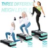 EVERYMILE Aerobic Exercise Step, Adjustable Aerobic Stepper for Exercise, Workout