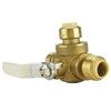 Apollo Valves FSBBV312 Valve
