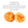 Freeze Dried Candy PUMPKIN PIE Salt Water Taffy - 2
