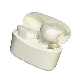 Radius HP-P100BT Low Latency Gaming Wireless Earphones: Noise Cancelling ANC Sound Capture Bluetooth Fully Wireless Full Wireless TWS Remote Control Microphone Gaming Earphones AAC Long Playback IPX5