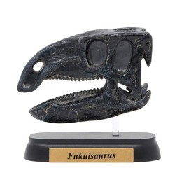 73511 Dinosaur hukuisaurusu Skull Mini Model (FDW – 511)