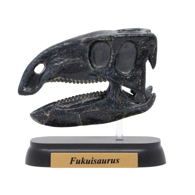 73511 Dinosaur hukuisaurusu Skull Mini Model (FDW – 511)