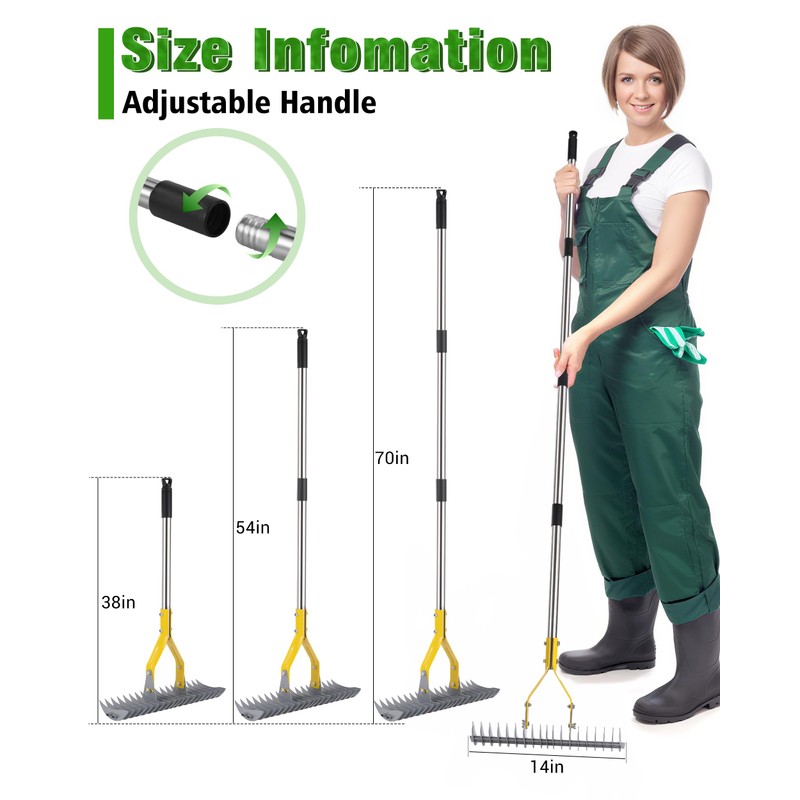 Thatch Rake,Dual-Sided Lawn Dethatcher with Stainless Steel Tines Efficient Thatching