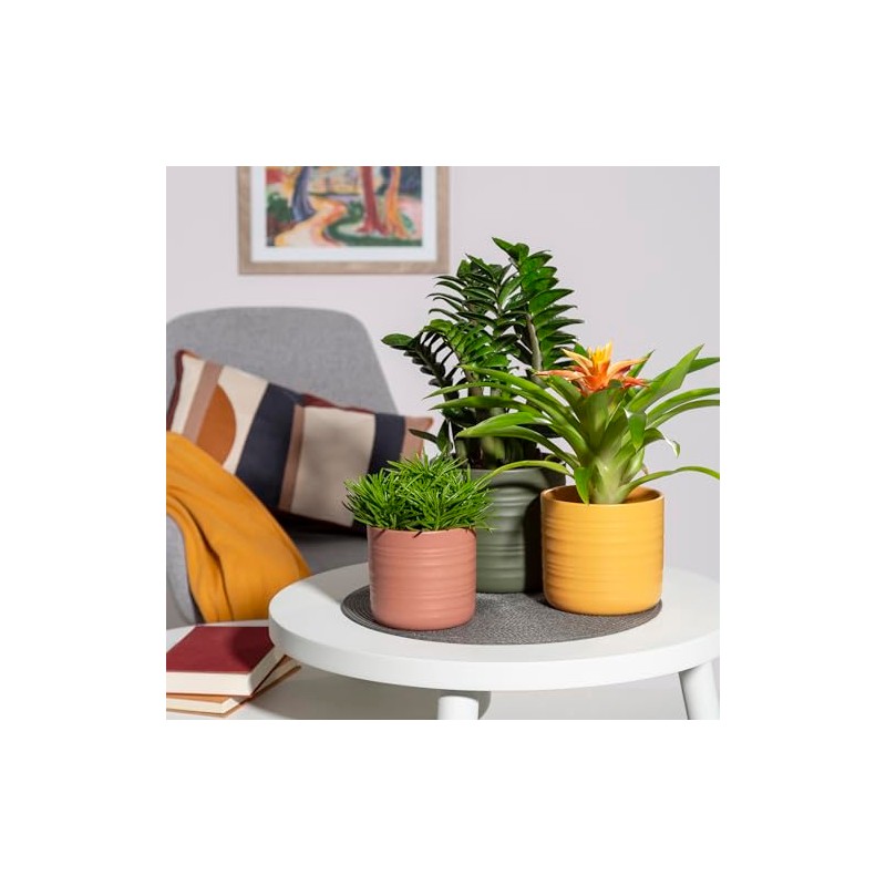 Scheurich Cottage Ceramic Flower Pot Green Ø 16.6 cm, H