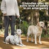 Howgo Double Slip Leash Slip Lead with Two Handles| Dual