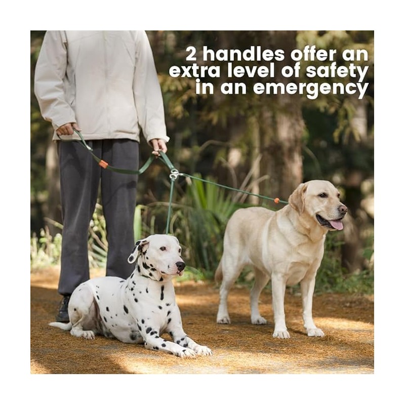Howgo Double Slip Leash Slip Lead with Two Handles| Dual