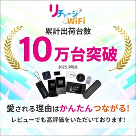 Aterm-100GB/365_2 Mobile Router, 100 Giga, 1 Year Usable Mobile Router, Includes Wi-Fi Giga, Pocket, WiFi AC Adapter, No Contract Return, No Monthly Costs, Easy Giga Charge, SIM, MP02LN, NEC