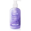 BRUBAKER Cosmetics Hand Wash Lotion Liquid Soap Lavender 240 ml