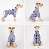 BT Bear Dog Harness Raincoat,Adjustable 4 Legs Dog Jacket with