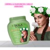 Kit Shampoo+acond Y Mascarilla Skala Jaborandi Cabello Graso