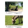 Eselzauber DIN A5 Desk Calendar for 2022 Donkey Seelenzauber