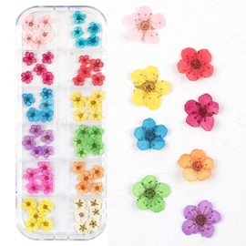 Juego de pegatinas 3D de flores secas de uñas con pinzas, Changgar flores secas reales para arte de uñas y manualidades de resina, bricolaje de cinco pétalos de hojas de flores Gypsophila Seco flores Kit de decoración de uñas (2 cajas)