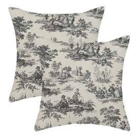 AGAYNA Black Grey French Country Pillow Covers 18x18 Vintage Beige Throw Pillows for Couch Retro Rustic Cottage Outdoor Pillowcase Farmhouse Decorative Cushion Case for Sofa Bed Decor Set of 2