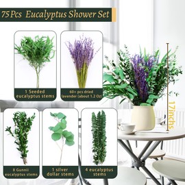 Glicrili 5 Kinds Eucalyptus & Lavender Flowers Bundles for Shower, 17'' Real Fresh Eucalyptus Leaves, Shower Wedding Home Decor, Shower Eucalyptus Haning Plants, Witchy Decor Aesthetic (75pcs)