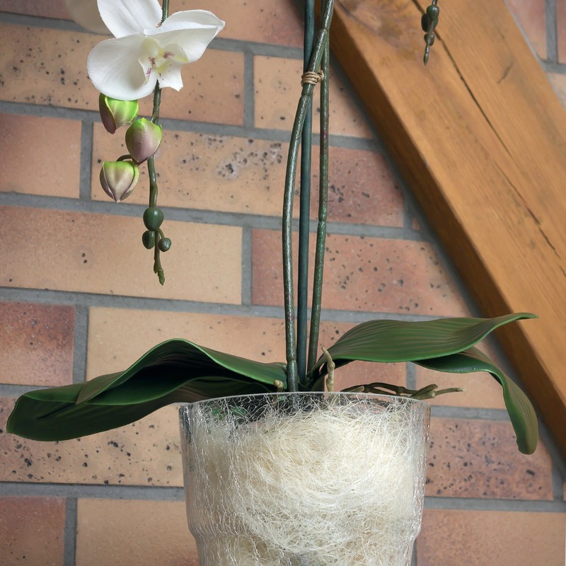 Flower Pot Orchid Pot Height 165 mm D 130 mm