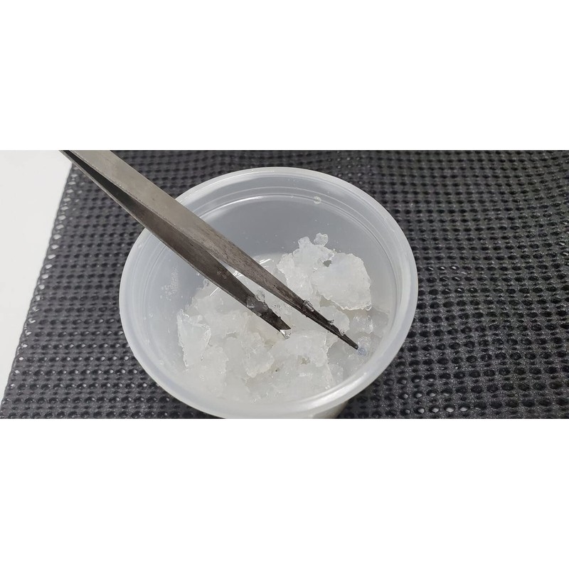 Forest Organics Orchid Seed Sowing Medium Plant Media Culturing Gel