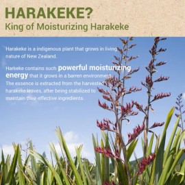 the SAEM [THE SAEM] Urban Eco Harakeke Skin Care 3 Set