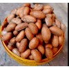 Fresh Organic Bitter kola nuts, Orogbo kola nuts, Garcinia Kola