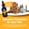 Cedar Bear Pet’s Calm Down - Natural Herbal Supplement for
