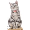 Petio Cat Collar Catfish Collar Red for Cats