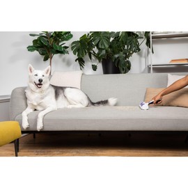 BLACK+DECKER HMSCT0001-XJ Pet Hair Remover Roller, Dog and Cat Hair Remover