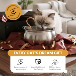 The KittySpout Stainless Steel Wireless Cat Water Fountain, 4L/108oz