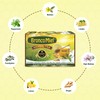 BRONCOMIEL Tea Bags – Honey Herbal Tea for Coughing and