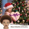 TKIMHEQ Afro Mannequin Head with 6 Inch Synthetic Hair Training