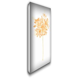 ArtDirect Vess, June Erica 14x24 Gallery Wrapped Canvas Museum Art Titled: Bouquet Blush VI