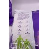 Theraworx 2-pack Theraworx Protect Advanced Hygiene & Barrier System 8