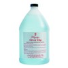 Hagerty 17128 Silver Dip 1 Gallon Clear