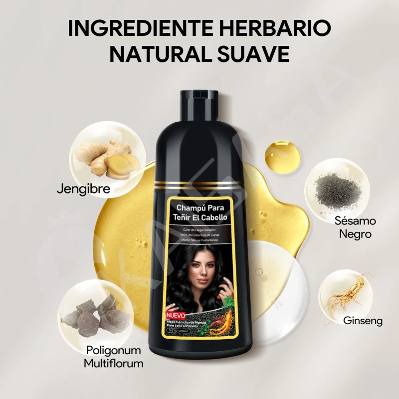 Shampoo Con Tinte De Cubre Canas Natural Jengibre 500ml